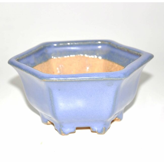 Vierkant, 6 cm x 11 cm, Hattori Tokoname