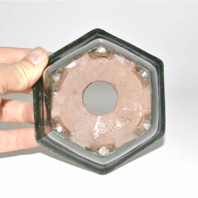 Cuadrado, de 7 cm x 11 cm, Shuhou Tokoname