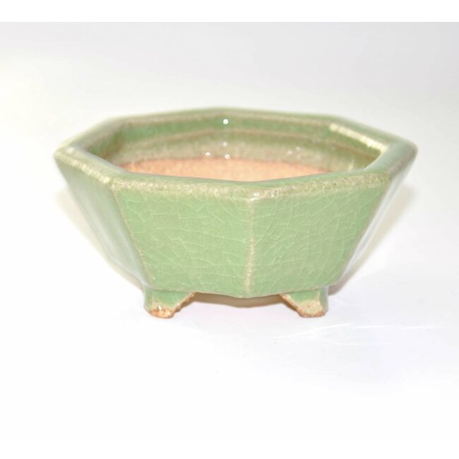 Achthoekig, 5 cm x 11 cm, Hattori Tokoname