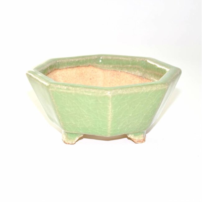 Achteckig, 5 cm x 11 cm, Hattori Tokoname