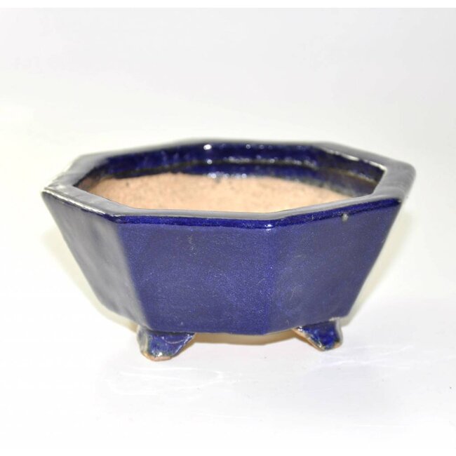 Octagonal, 5 cm x 11 cm, Hattori Tokoname