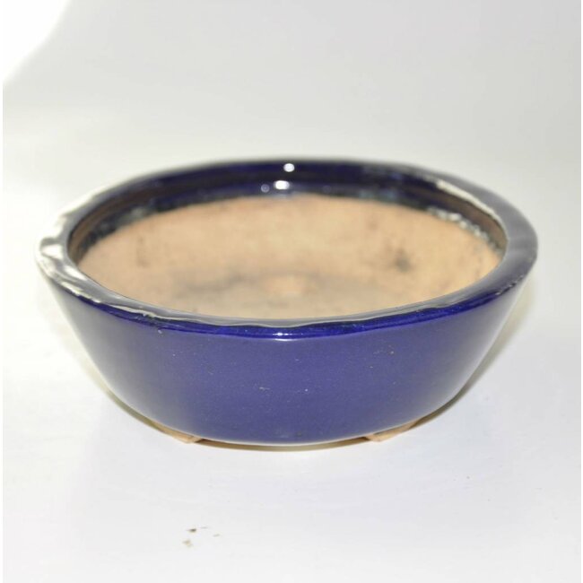 Oval 195 mm Hattory Tokoname