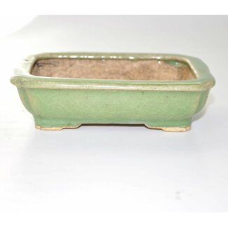  Hattori Tomoyuki Rechteckig 13,5 cm, HATTORY Tokoname