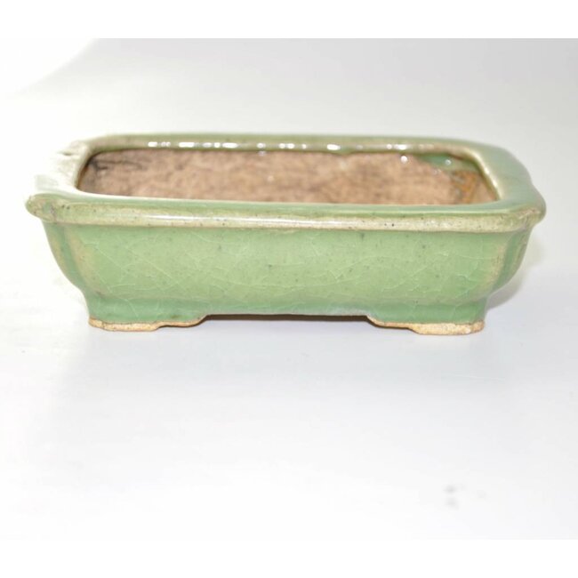 Rechthoekige 13,5 cm, Hattory Tokoname