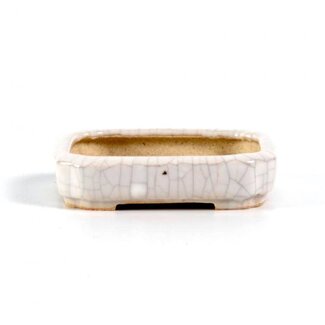  Eimei ( Yozan kiln) Maceta rectangular
