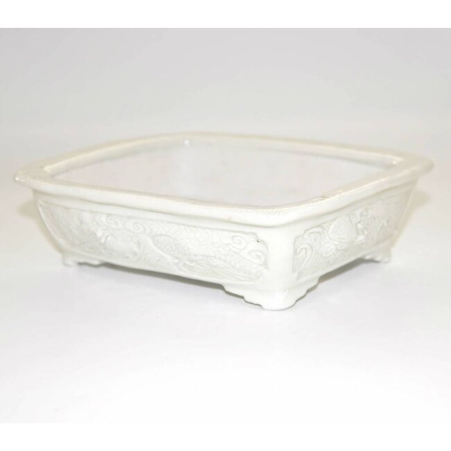 17,6 rectangular, Tani Ranzan