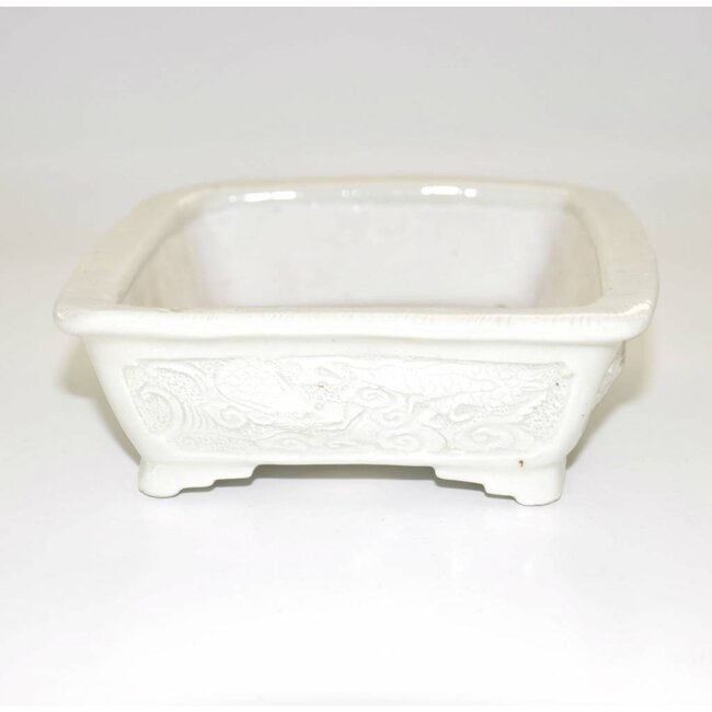 17,6 rectangular, Tani Ranzan