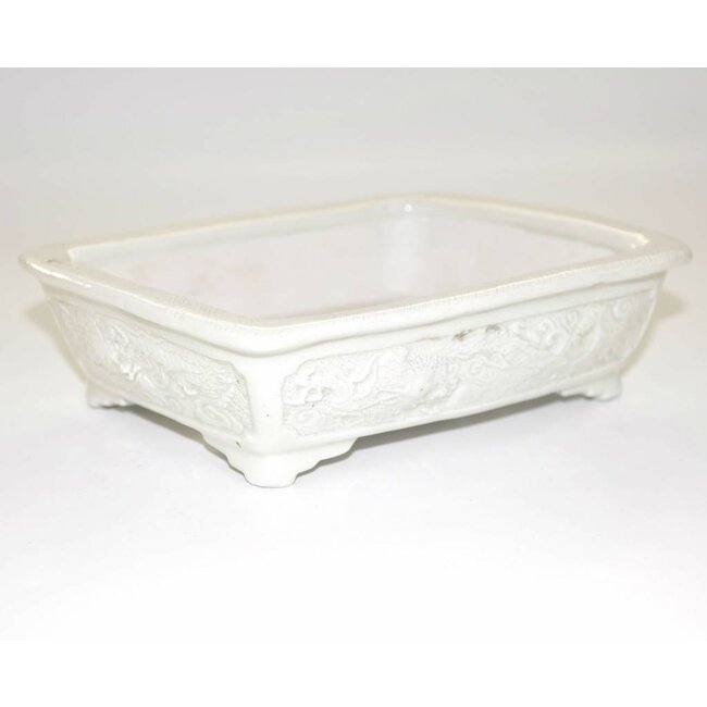 Rechthoekige 17,6, Tani Ranzan