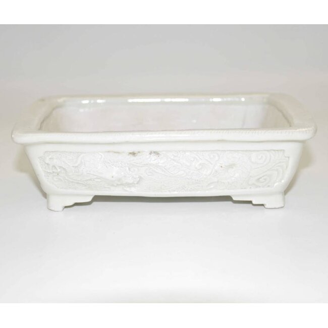 Rectangulaire 17,6, Tani Ranzan