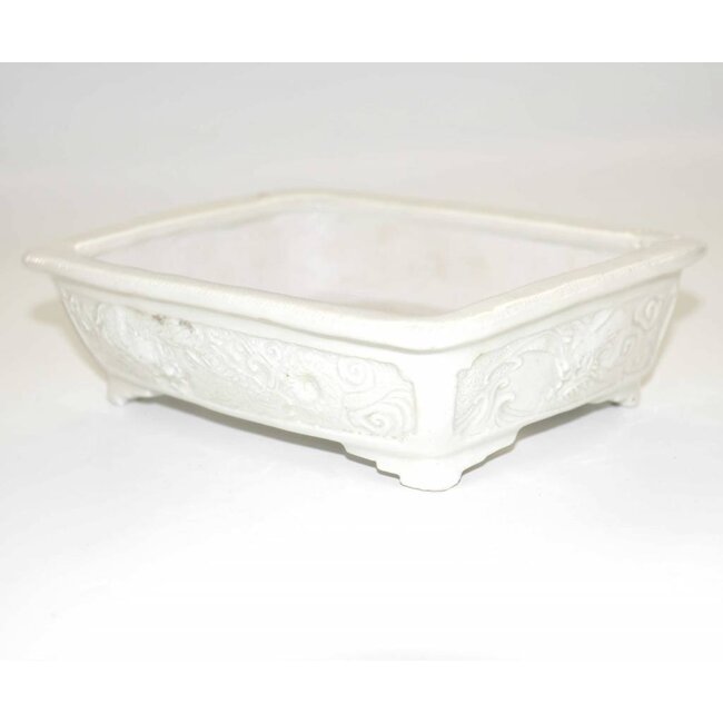 17,6 rectangular, Tani Ranzan