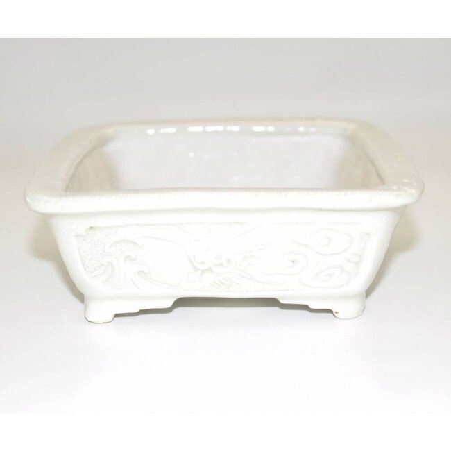 Rectangulaire 17,6, Tani Ranzan