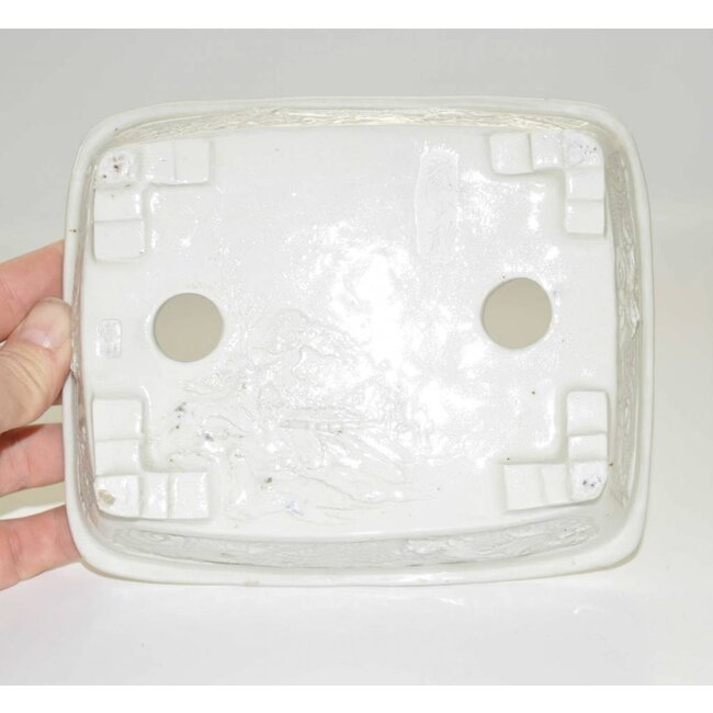 17,6 rectangular, Tani Ranzan