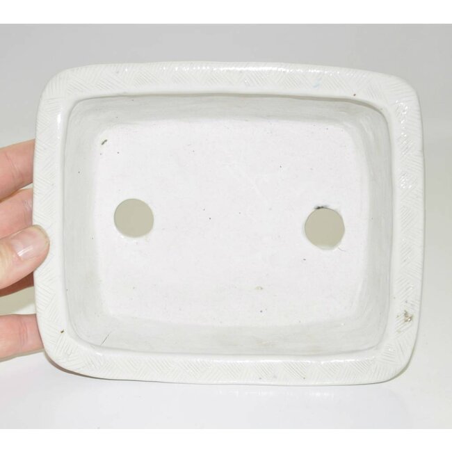 17,6 rectangular, Tani Ranzan