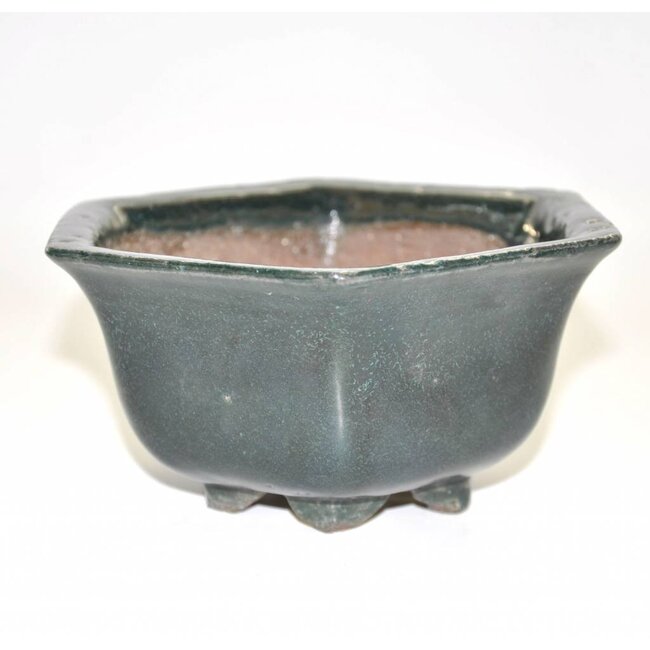 13,6 rectangular, Shuhou Tokoname