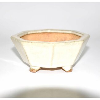  Hattori Tomoyuki Rechteckig 11 cm HATTORY Tokoname