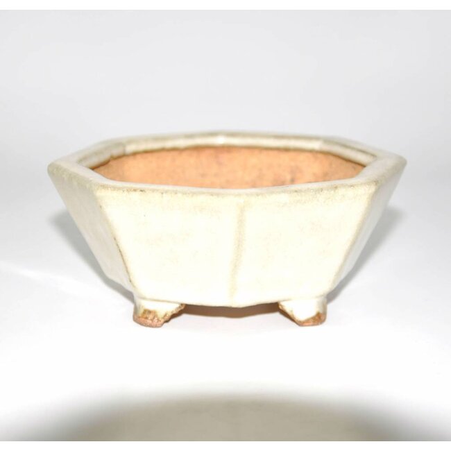 Rechteckig 11 cm HATTORY Tokoname