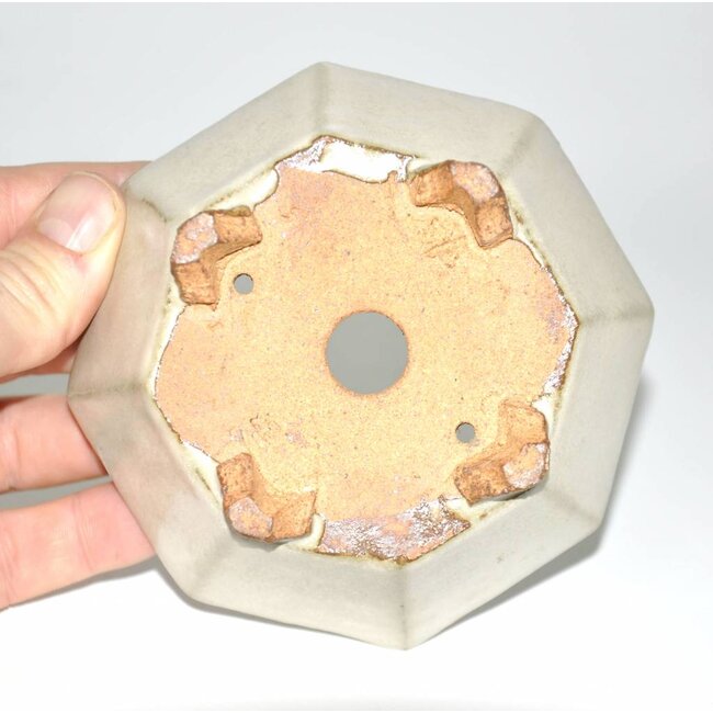 Rechteckig 11 cm HATTORY Tokoname