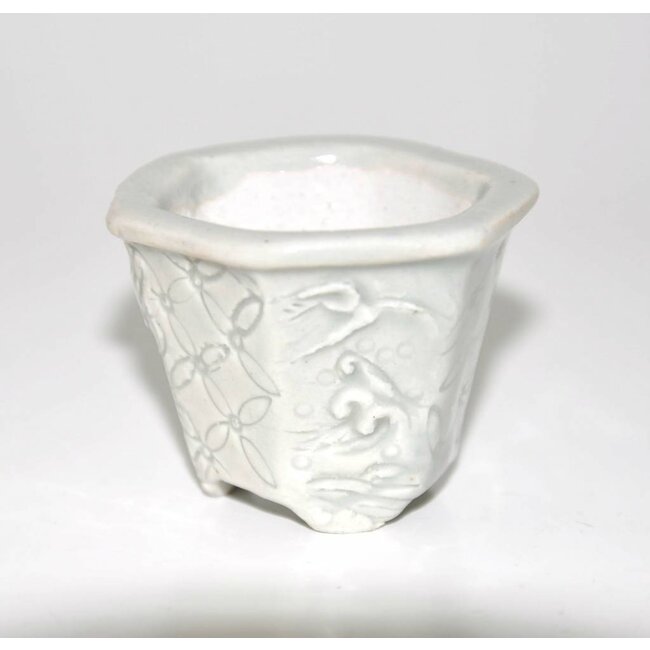 Rechthoekige 4,4 Tani Ranzan