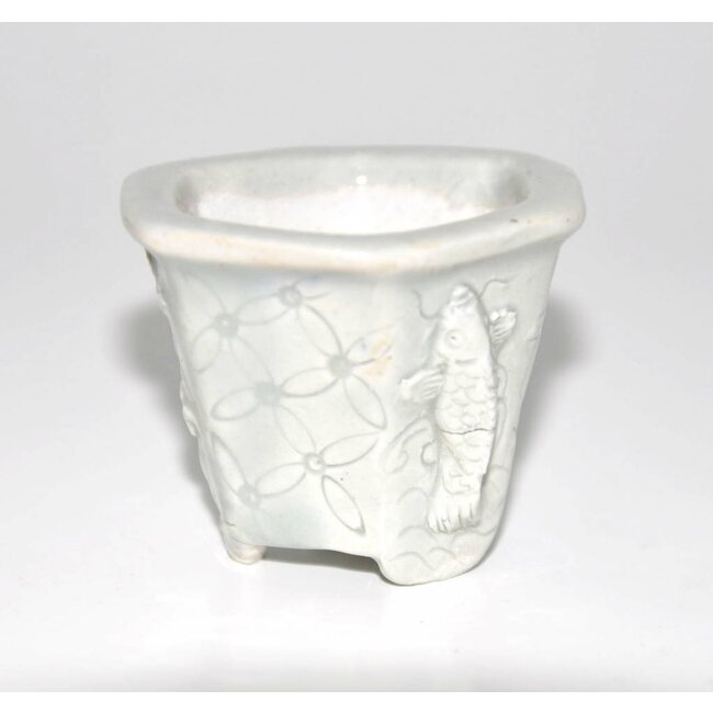 Rechteckige 4,4 Tani Ranzan