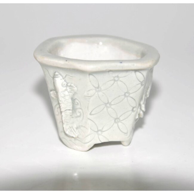 Rechthoekige 4,4 Tani Ranzan