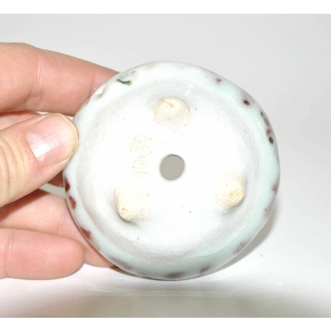 pot rotondo 7 cm, Tani Ranzan