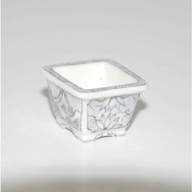 Rechteckige 2,3 cm, Kobayashi