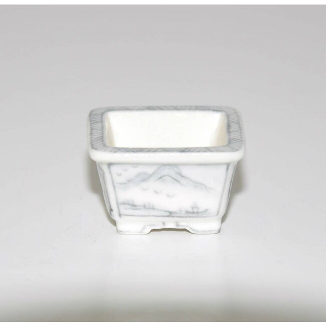 Rectangulaire 2,3 cm, Kobayashi