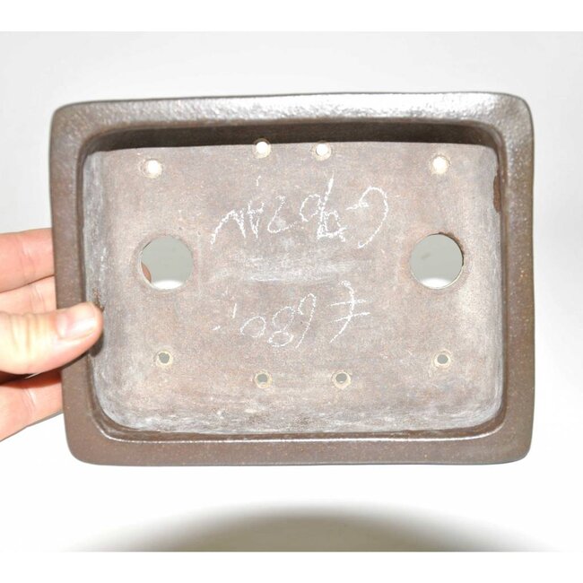 Rechthoekige 18,5 cm, Gyozan