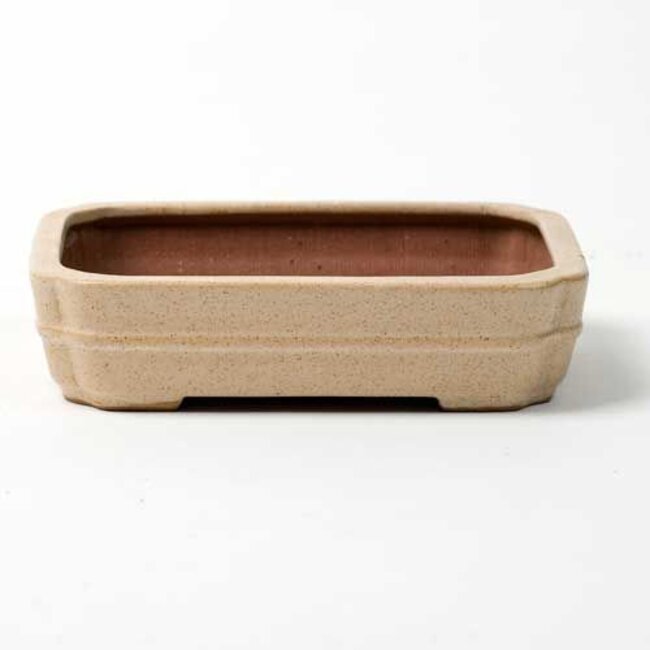 Rectangular pot