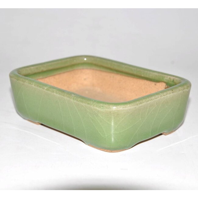 Bonsai pot groene 14 cm Hattori Tokoname