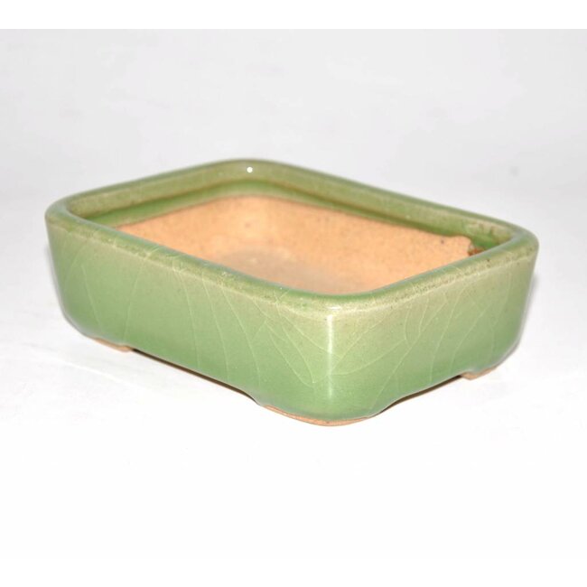 Bonsai pot verde 14 centimetri Hattori Tokoname