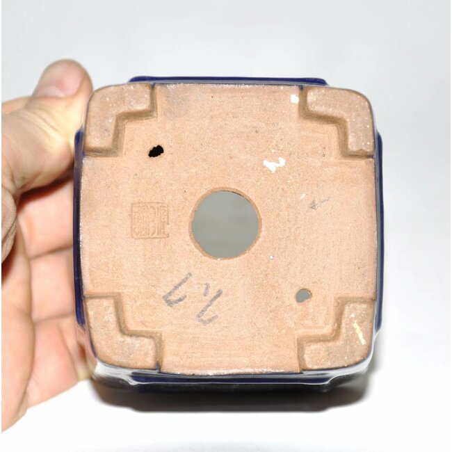 Vaso bonsai blu 9 cm Shibakatsu