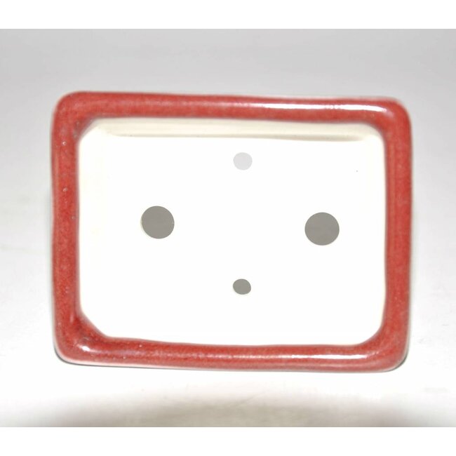 Bonsai pot rosso 8 cm