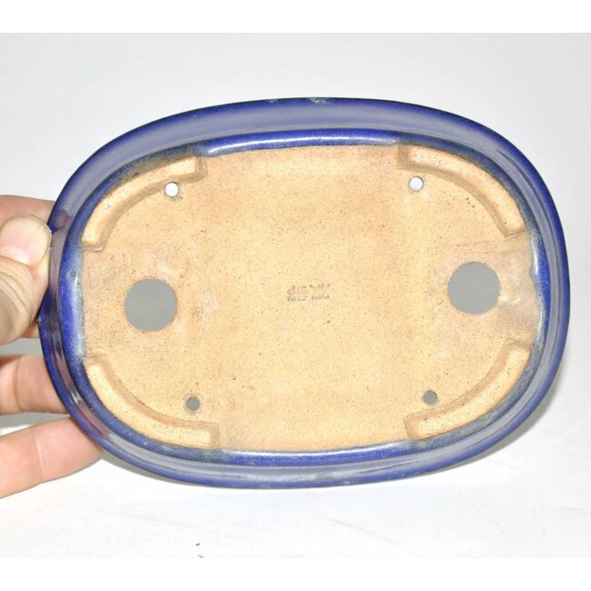 Maceta para bonsái azul 16 cm