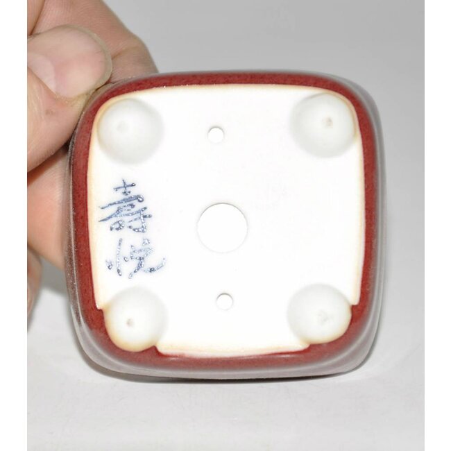 Bonsai pot 5,5 cm rouge