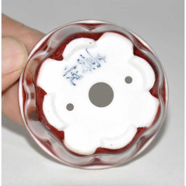 Bonsai pot red 5,5 cm