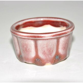 Juetsu Bonsai pot 5,5 cm rosso