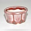 Bonsai pot red 5,5 cm