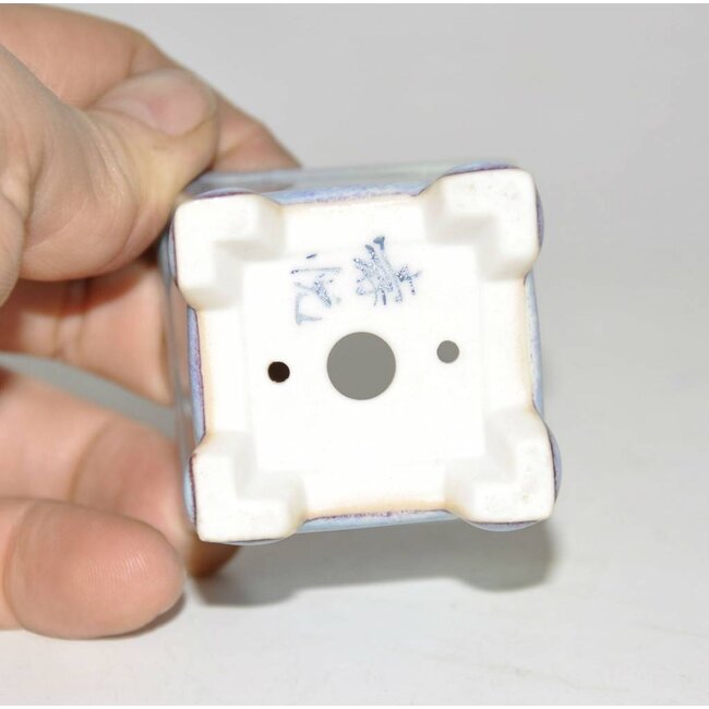 Bonsai pot bleu clair 5 cm