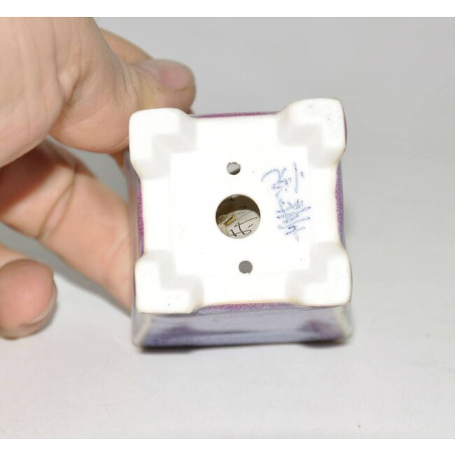 Bonsai olla lila 5 cm