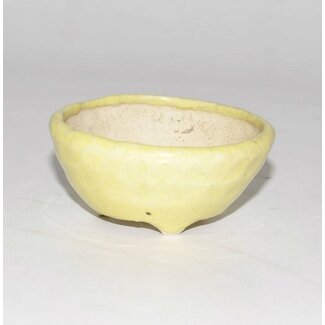 pot jaune rond, 6,5 cm