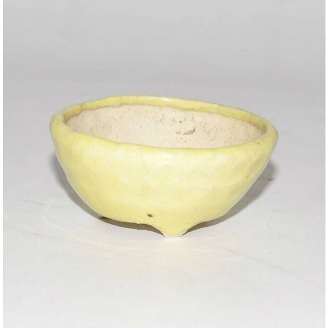 pot jaune rond, 6,5 cm