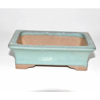 Shibakatsu (Katsuichi Shibata) Rectangular green bonsai pot | 16 x 14 cm | ︺ Shibakatsu, Tokoname , Giappone |