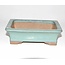 Rectangular green bonsai pot 16 cm