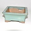 Rechthoekige groene bonsai pot 16 cm