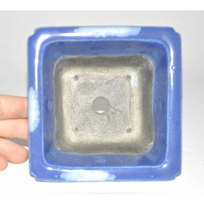 licht rettangolare piatto blu