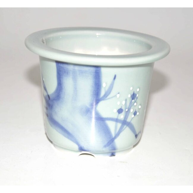 celadon rotonda vaso bonsai