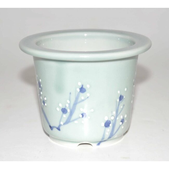 céladon Round bonsaï pot