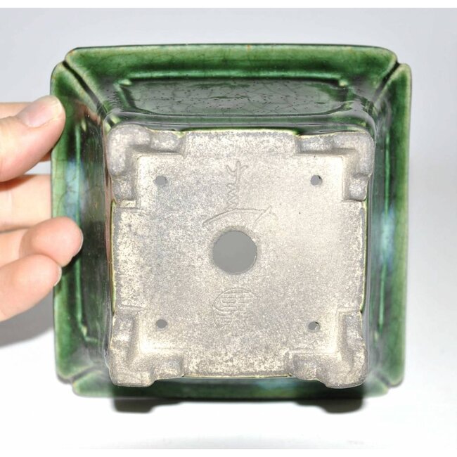 verde piatto rettangolare