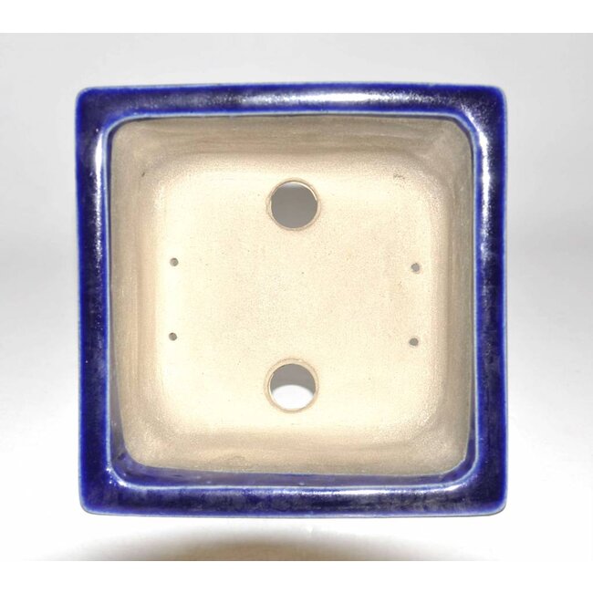 pot bleu rectangulaire